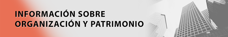 Organización y patrimonio