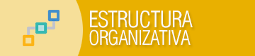 Estructura organizativa