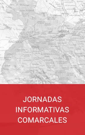 Jornadas comarcales