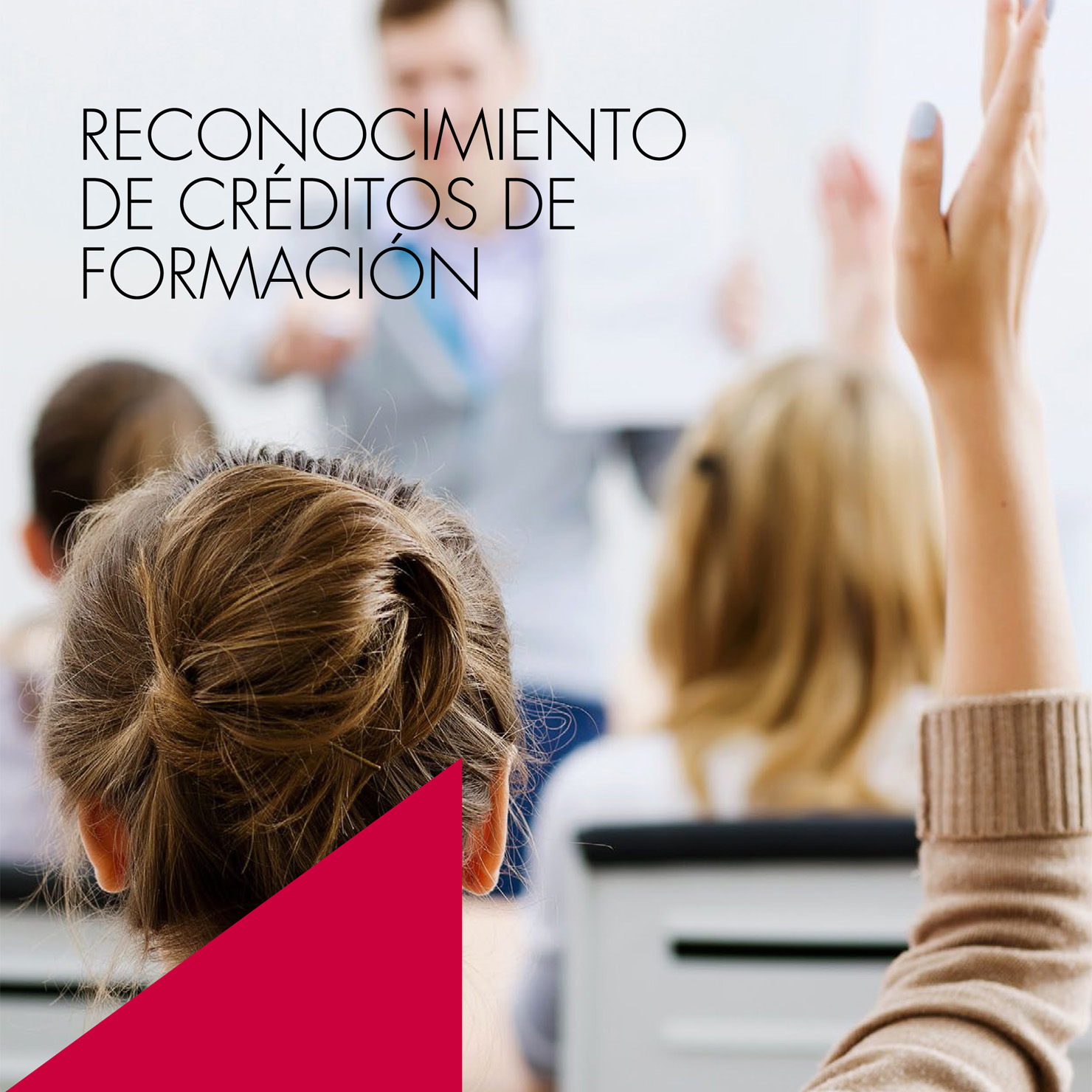 II EDICIÓN TRIBU, un gran proyecto
