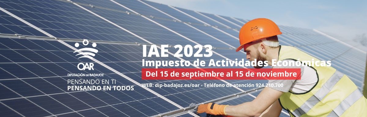 Ha comenzado el periodo voluntario de las cuotas municipales del Impuesto de Actividades Económicas que finalizará el 15 de noviembre, para 164 municipios de la provincia
