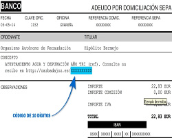 consulta de recibos domiciliados